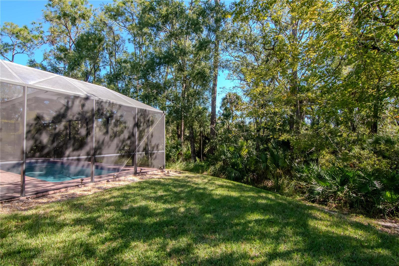 Listing photo id 26 for 16102 Colchester Palms Drive