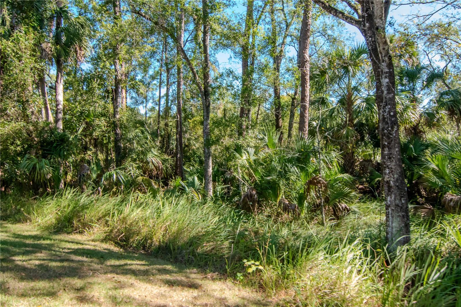 Listing photo id 27 for 16102 Colchester Palms Drive