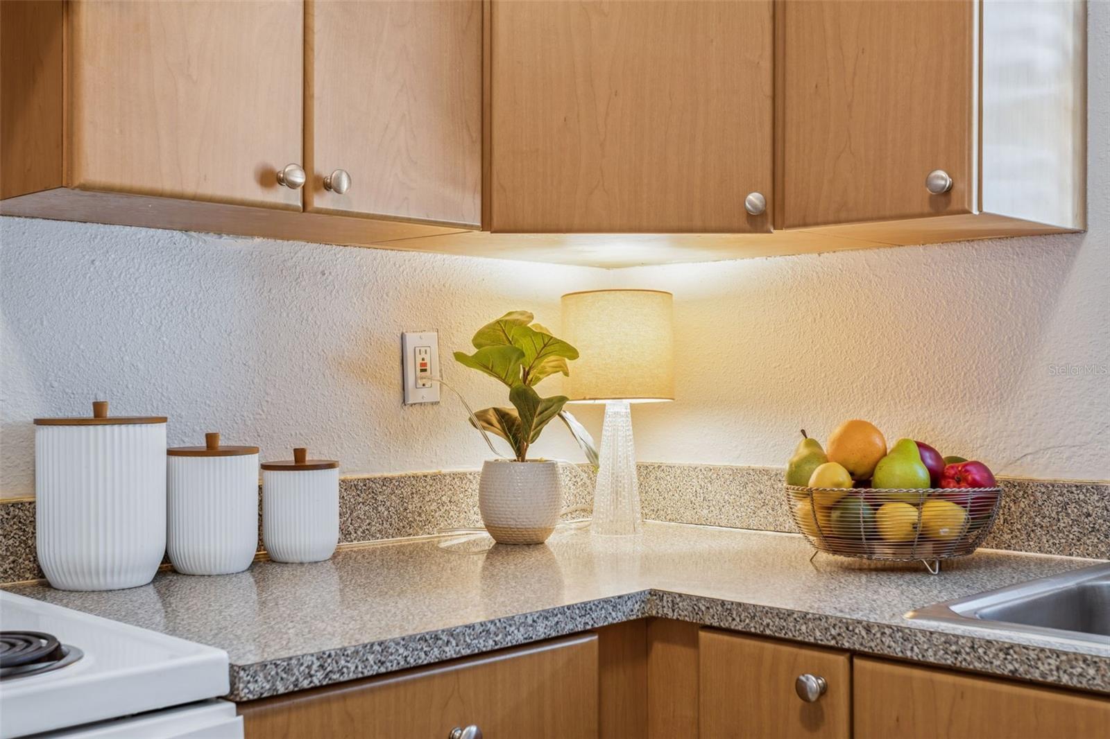 Image 7 of 29 For 14421 Americana Circle 204