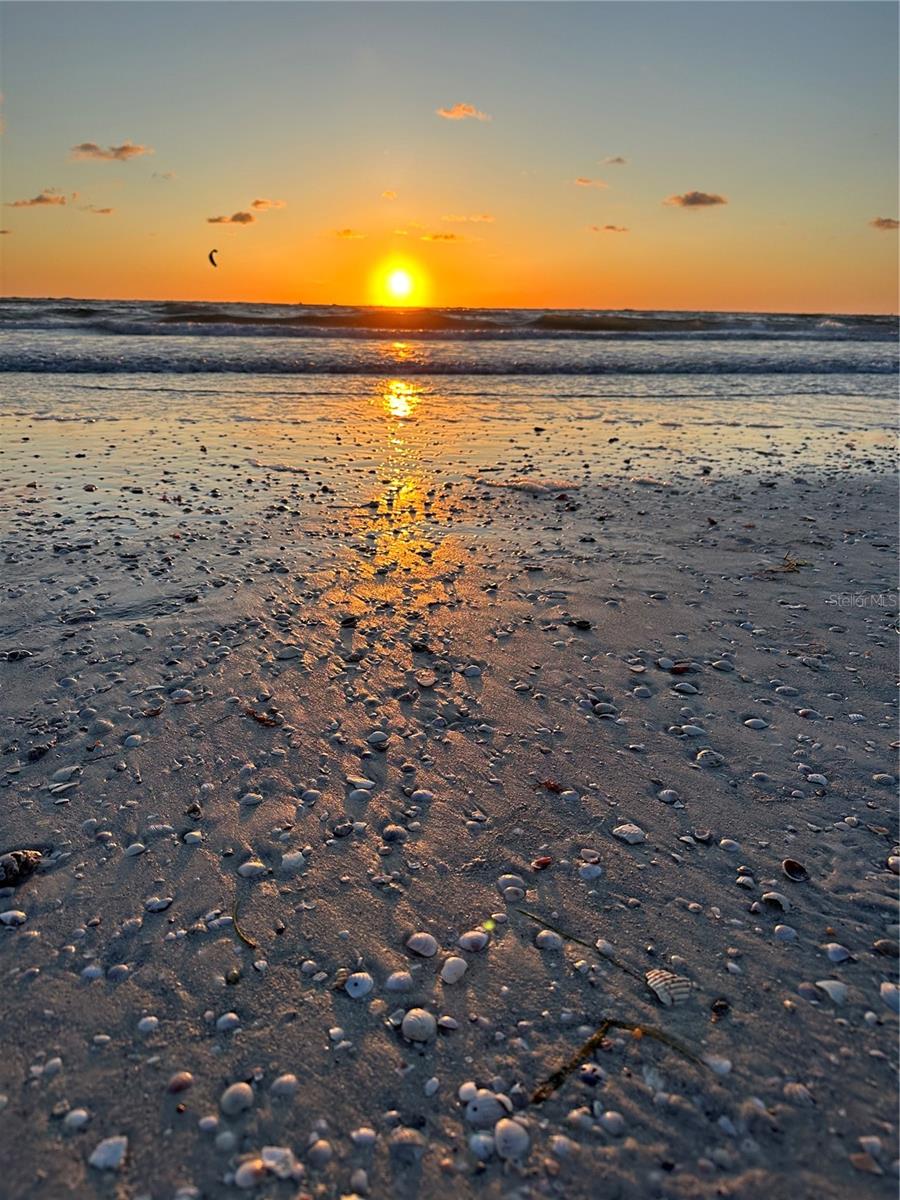 Image 29 of 56 For 231 Julia Circle