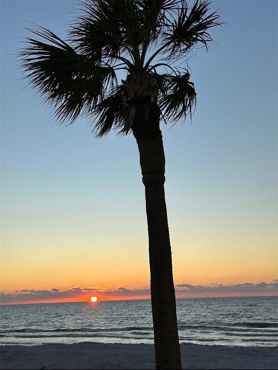 Image 55 of 56 For 231 Julia Circle