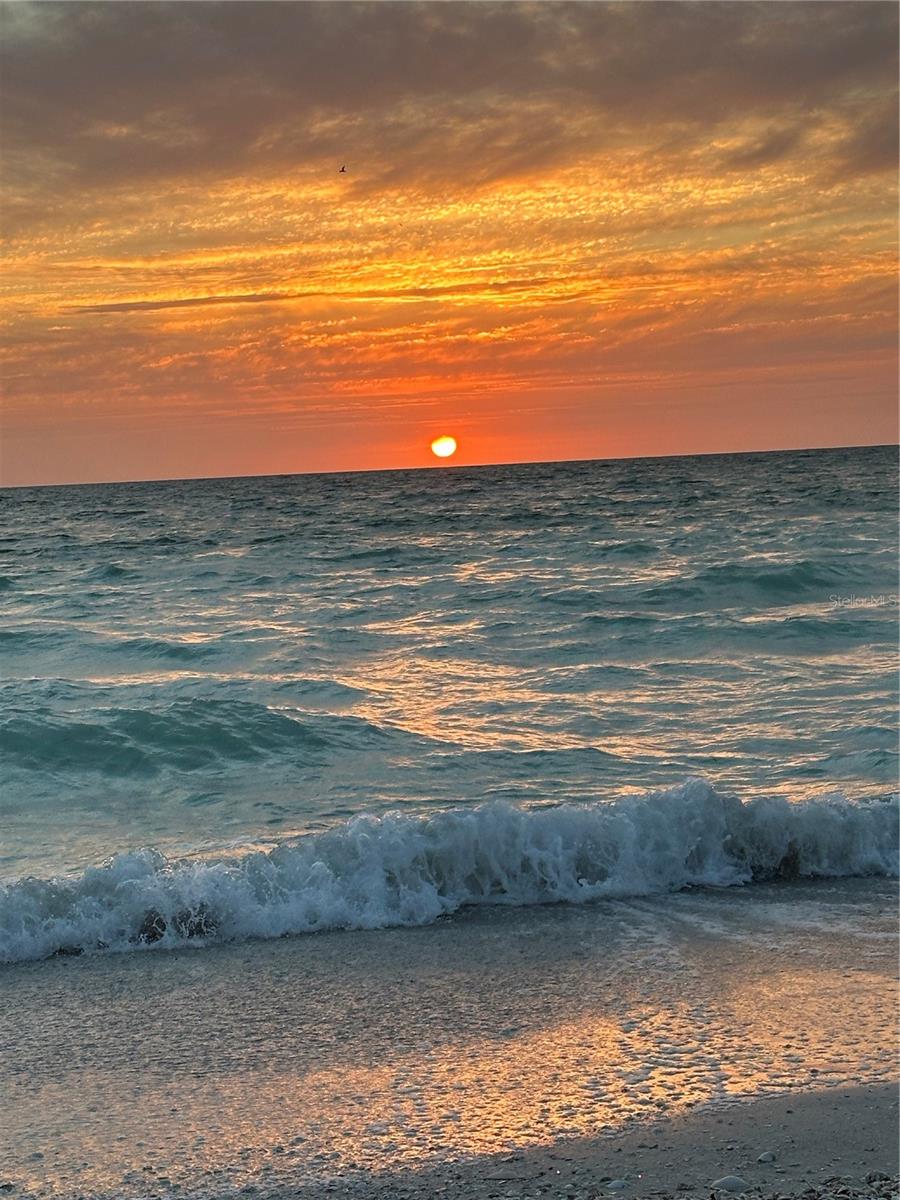 Image 56 of 56 For 231 Julia Circle