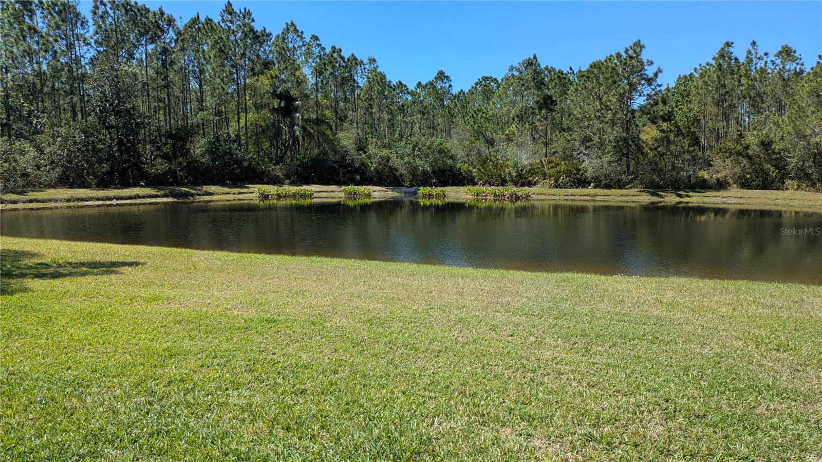 Image 12 of 27 For 14626 Corkwood Drive