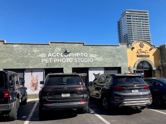 Details for 3105 Bay To Bay Boulevard, TAMPA, FL 33629