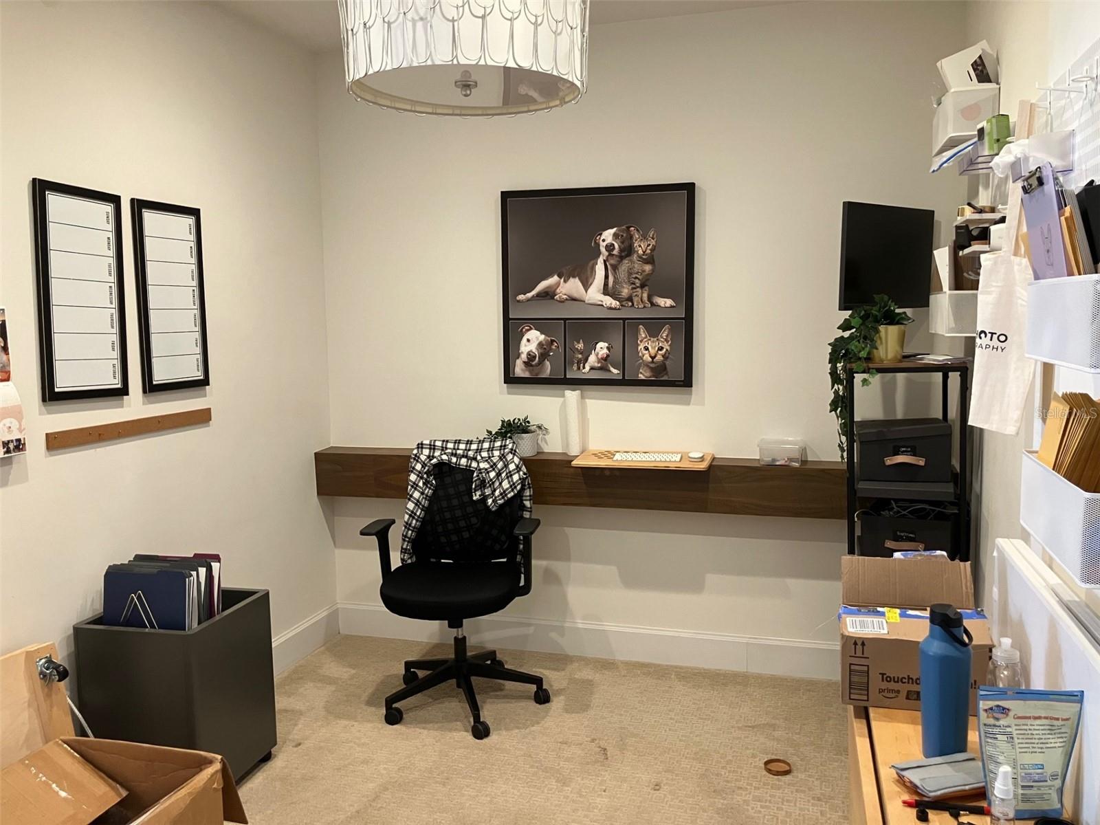 Image 5 of 7 For 3105 Bay To Bay Boulevard