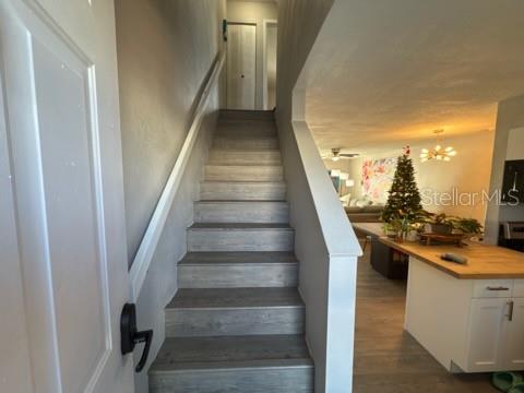 Image 12 of 19 For 11806 Cypress Hill Circle