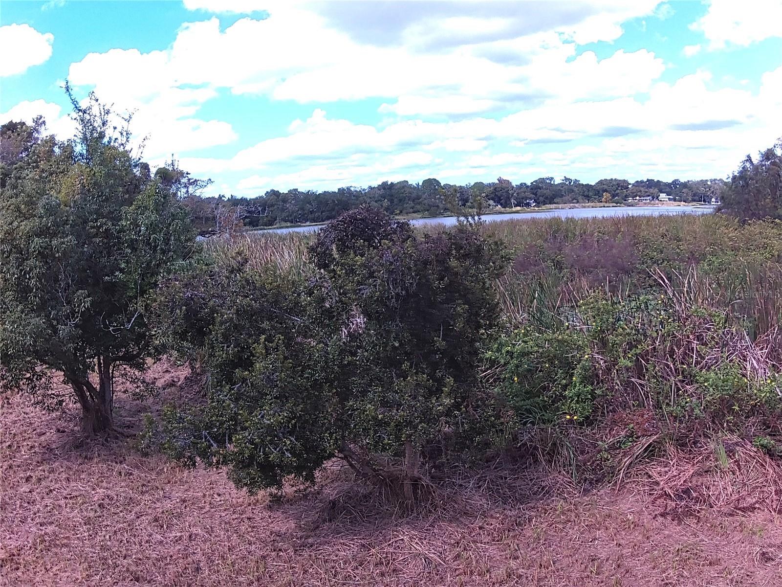 Image 7 of 16 For Riverside Park Road