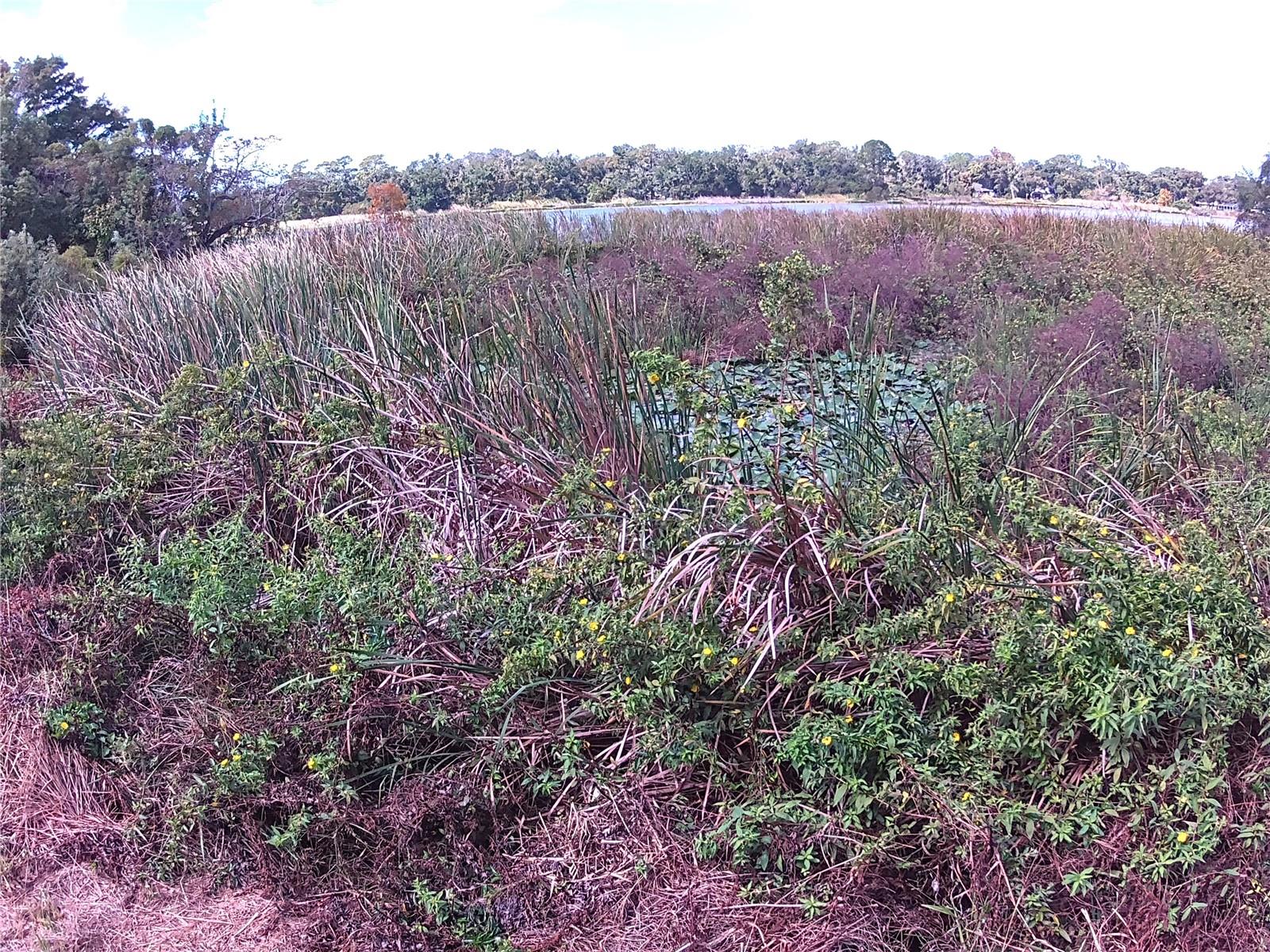 Image 8 of 16 For Riverside Park Road