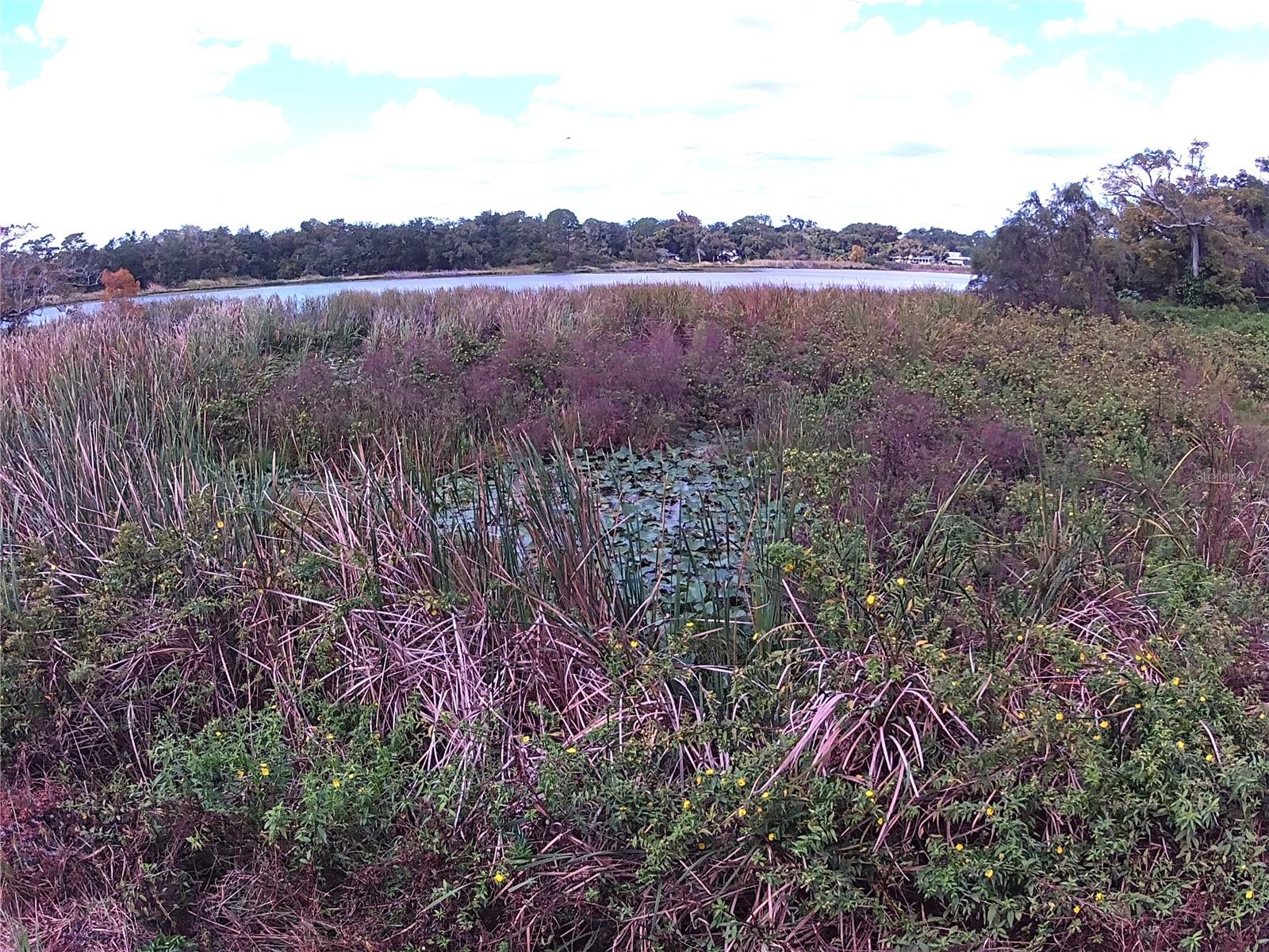 Image 9 of 16 For Riverside Park Road