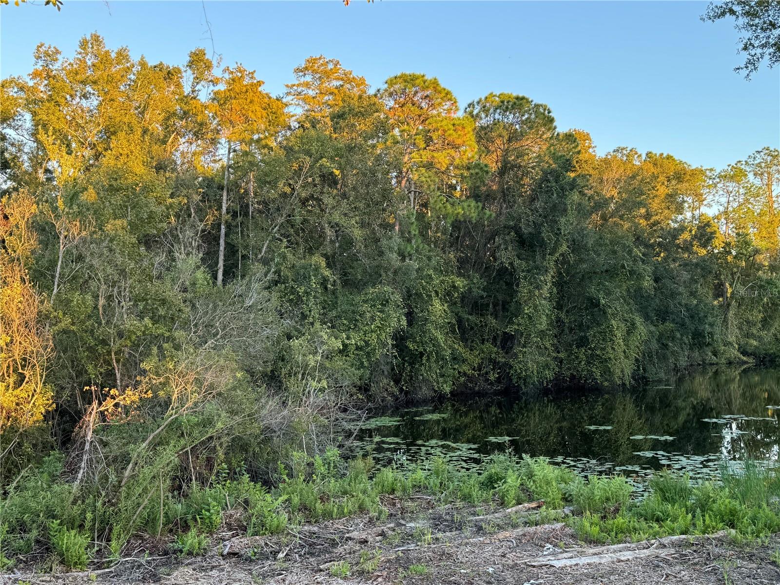 Image 9 of 18 For 0000 Eagle Boulevard