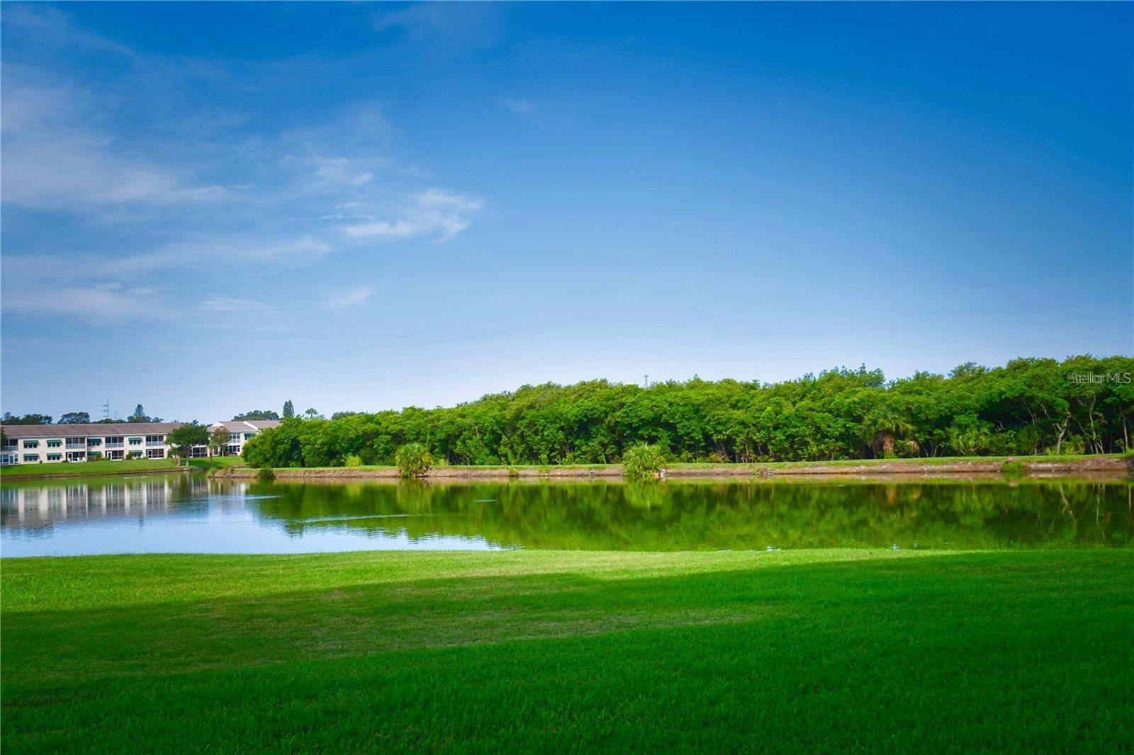 Image 39 of 47 For 6425 Shoreline Drive 10403