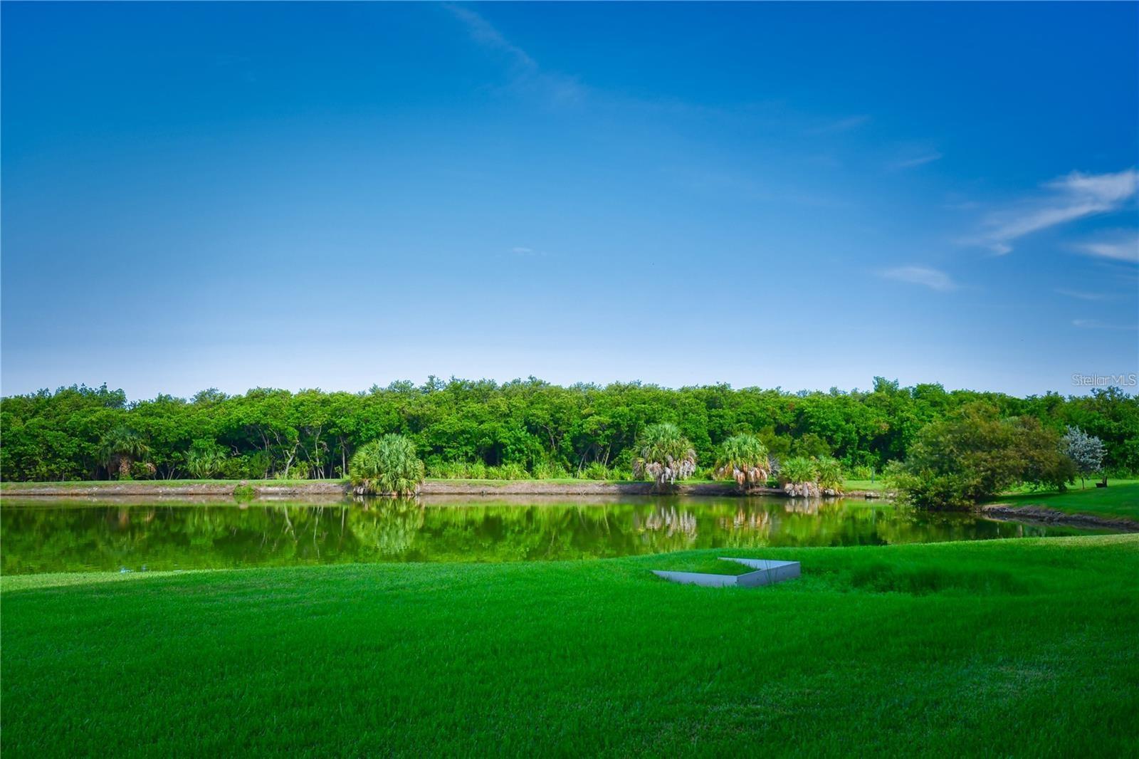 Image 40 of 47 For 6425 Shoreline Drive 10403