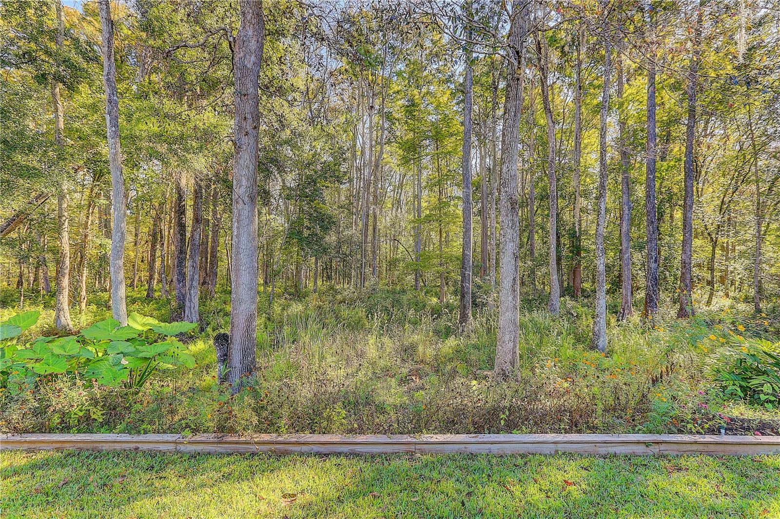 Image 48 of 64 For 12054 Quail Ridge Drive