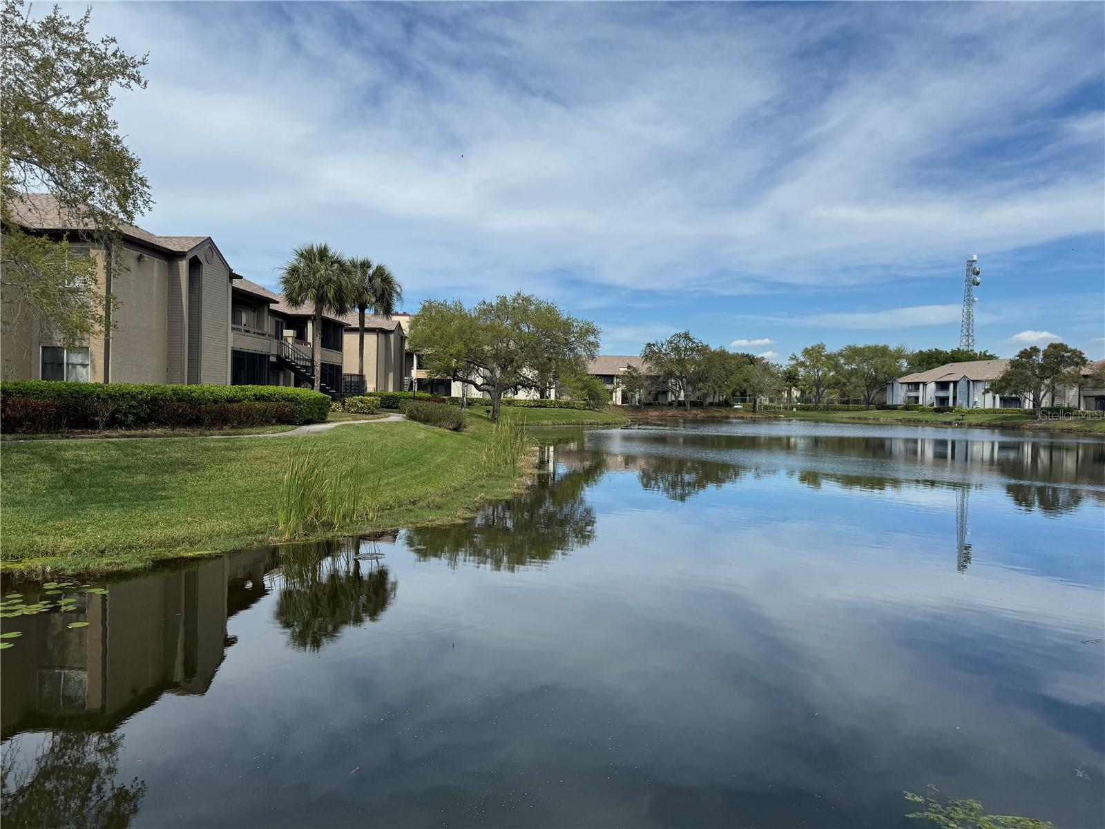 Image 2 of 23 For 10263 Gandy Boulevard N 2303