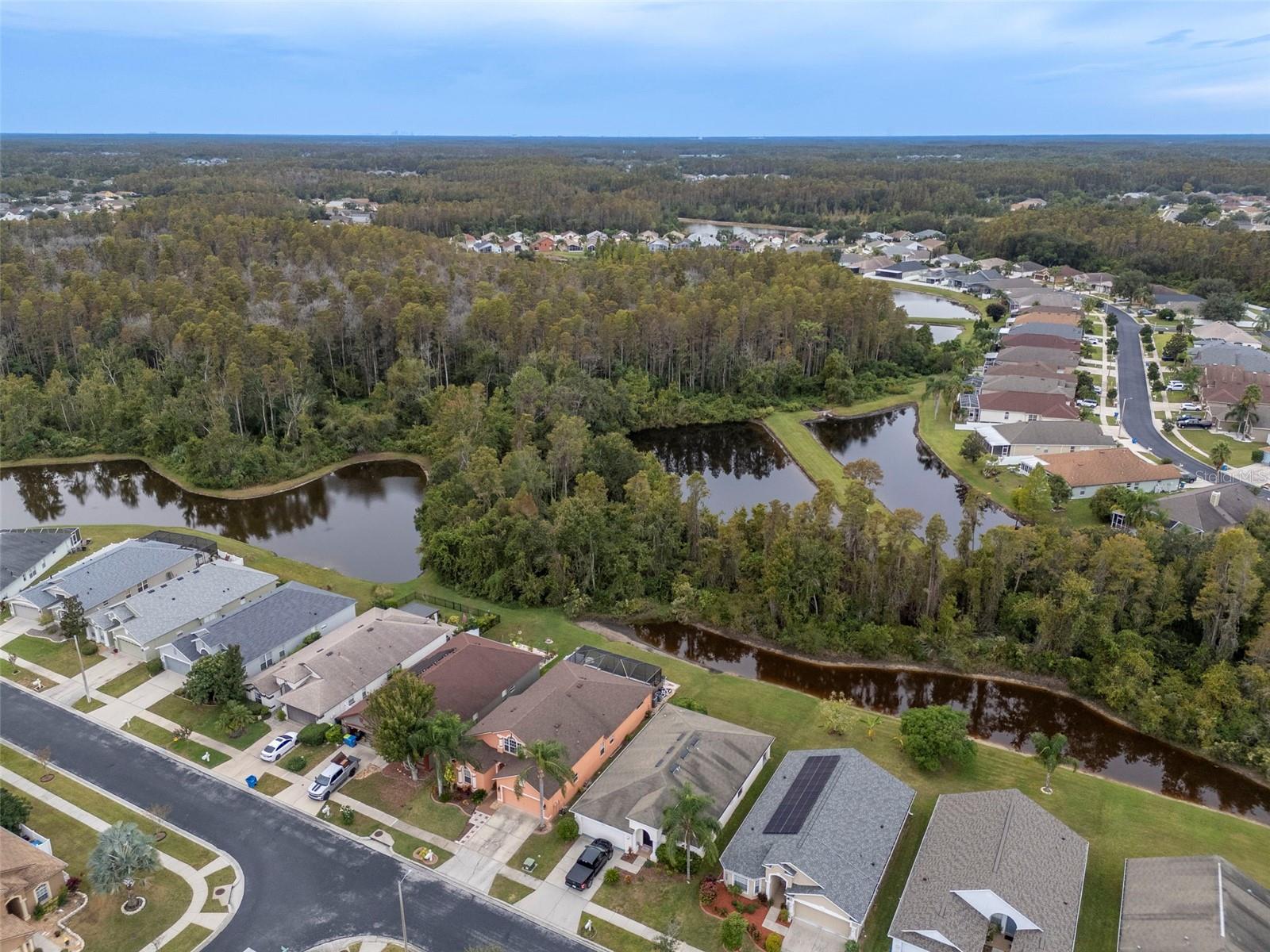 Image 51 of 59 For 31241 Kirkshire Court