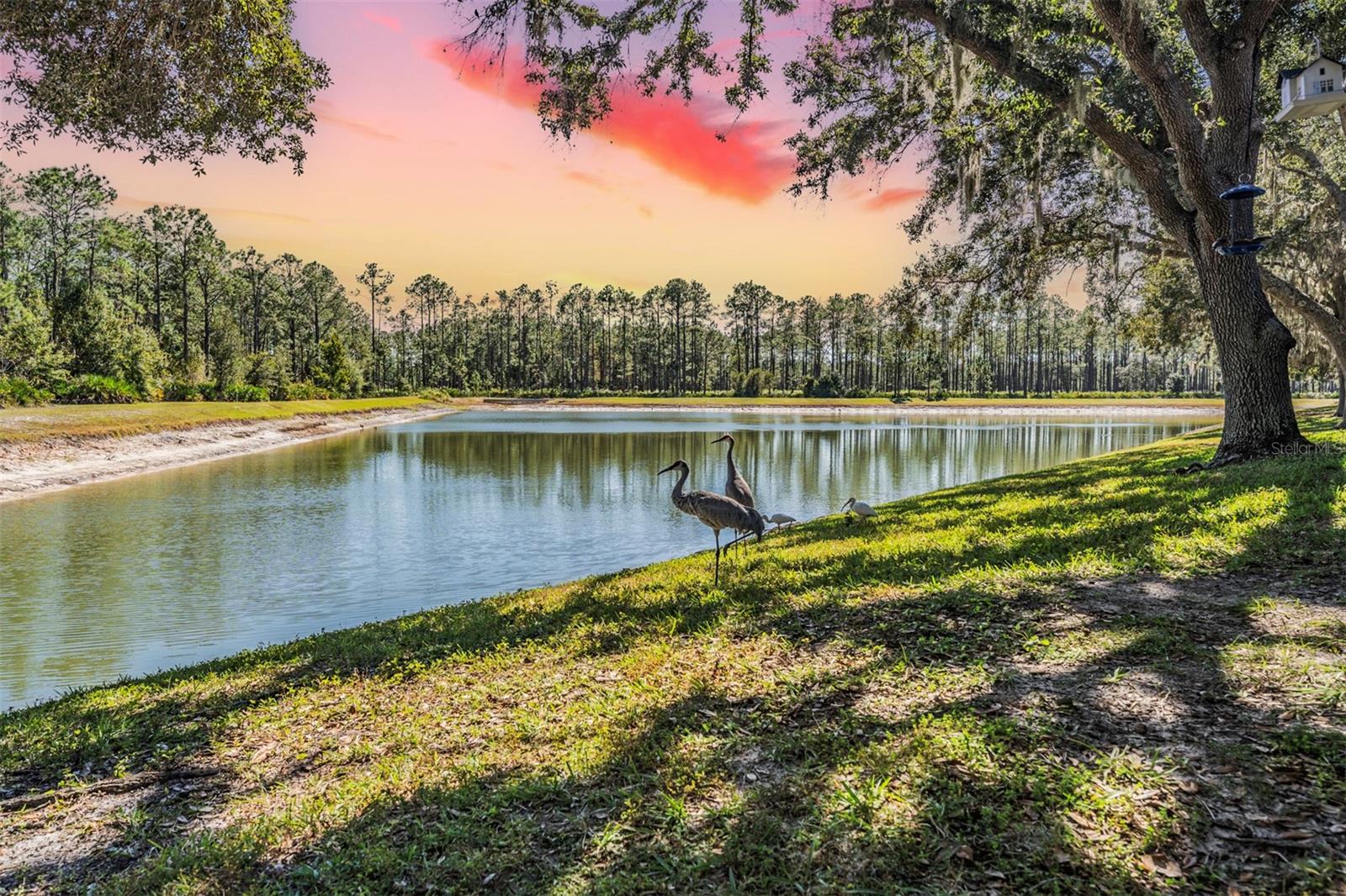 Image 24 of 60 For 17569 Fairmeadow Drive