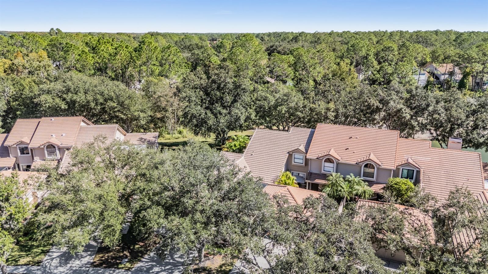 Image 40 of 60 For 17569 Fairmeadow Drive