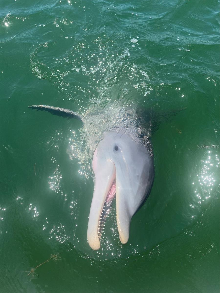 Image 43 of 47 For 2518 Coral Court