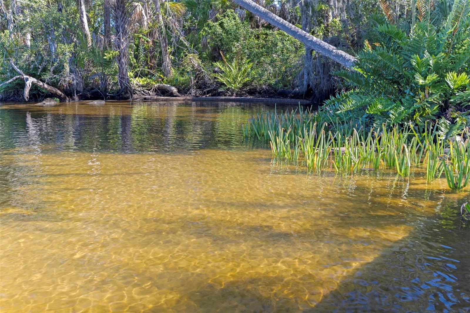 Image 53 of 66 For 8609 Stoner Road