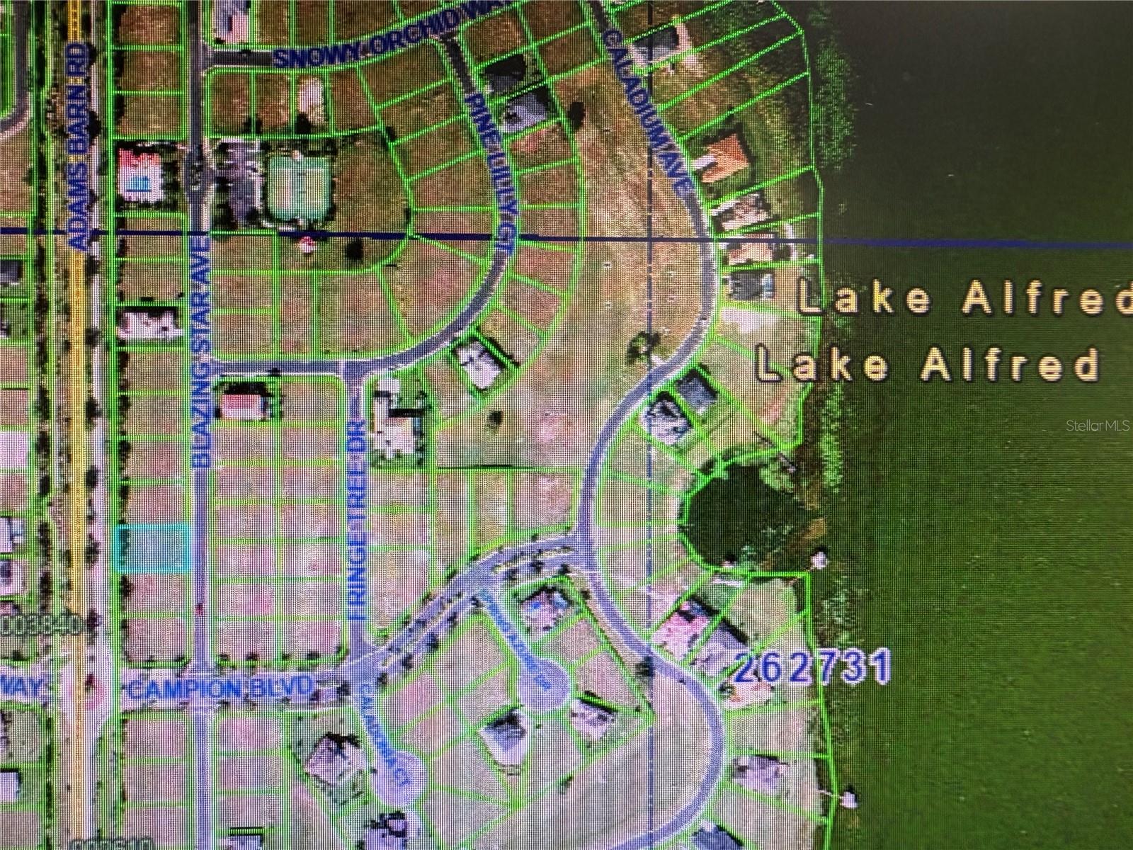 Image 10 of 12 For 155 Blazing Star Avenue