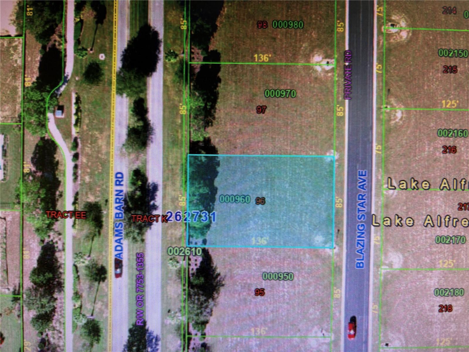 Image 11 of 12 For 155 Blazing Star Avenue