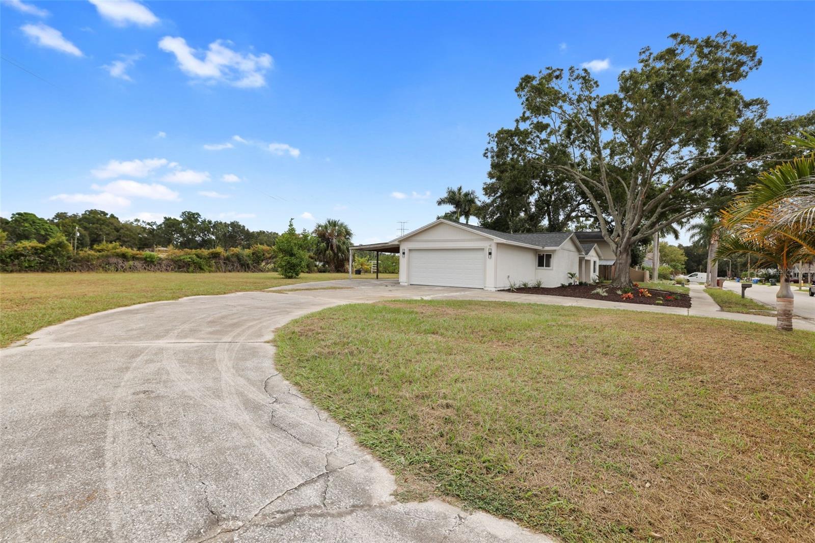 Image 24 of 27 For 1955 Dodge Circle