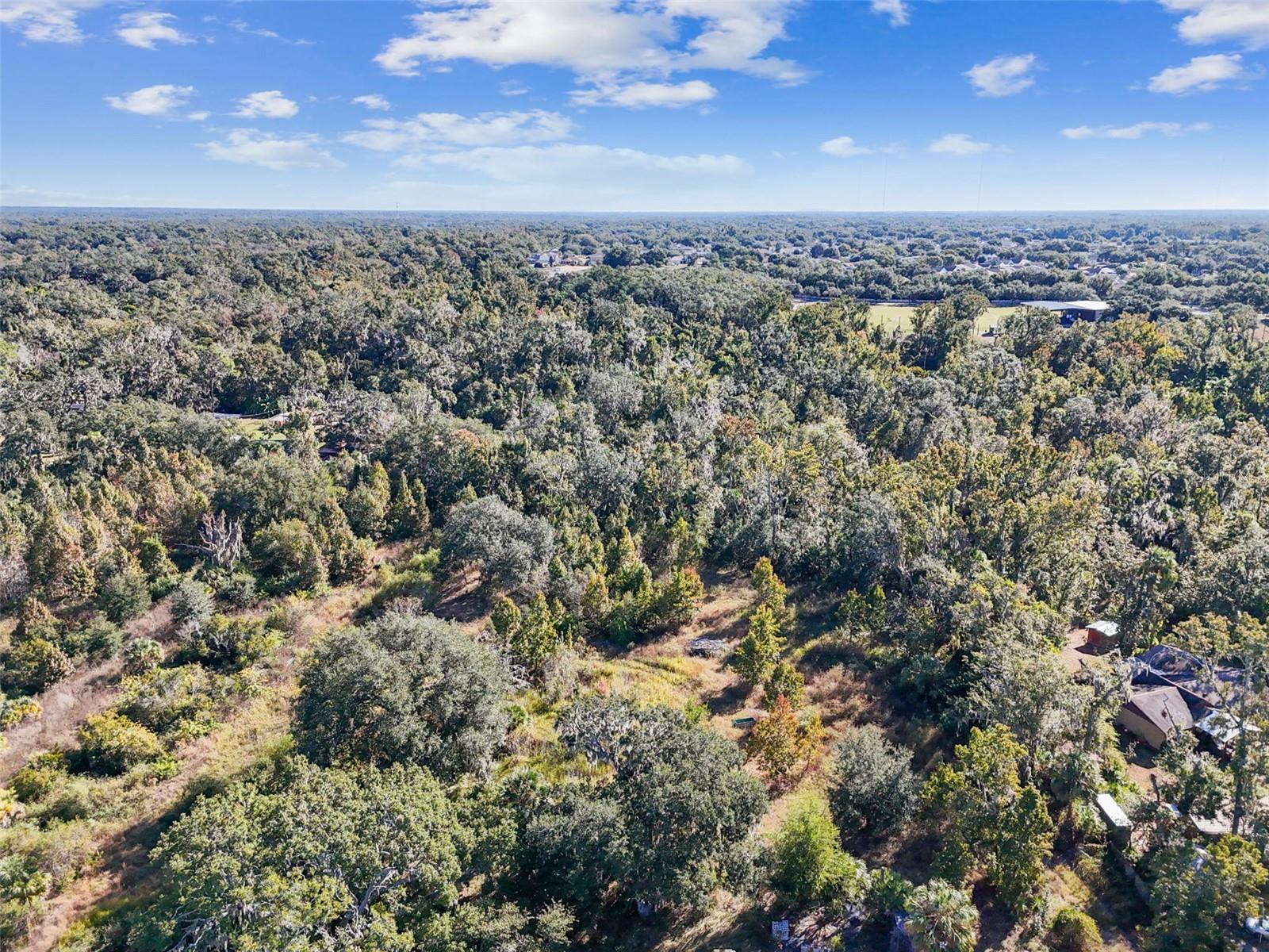 Image 8 of 16 For 9634 Balm Riverview Road