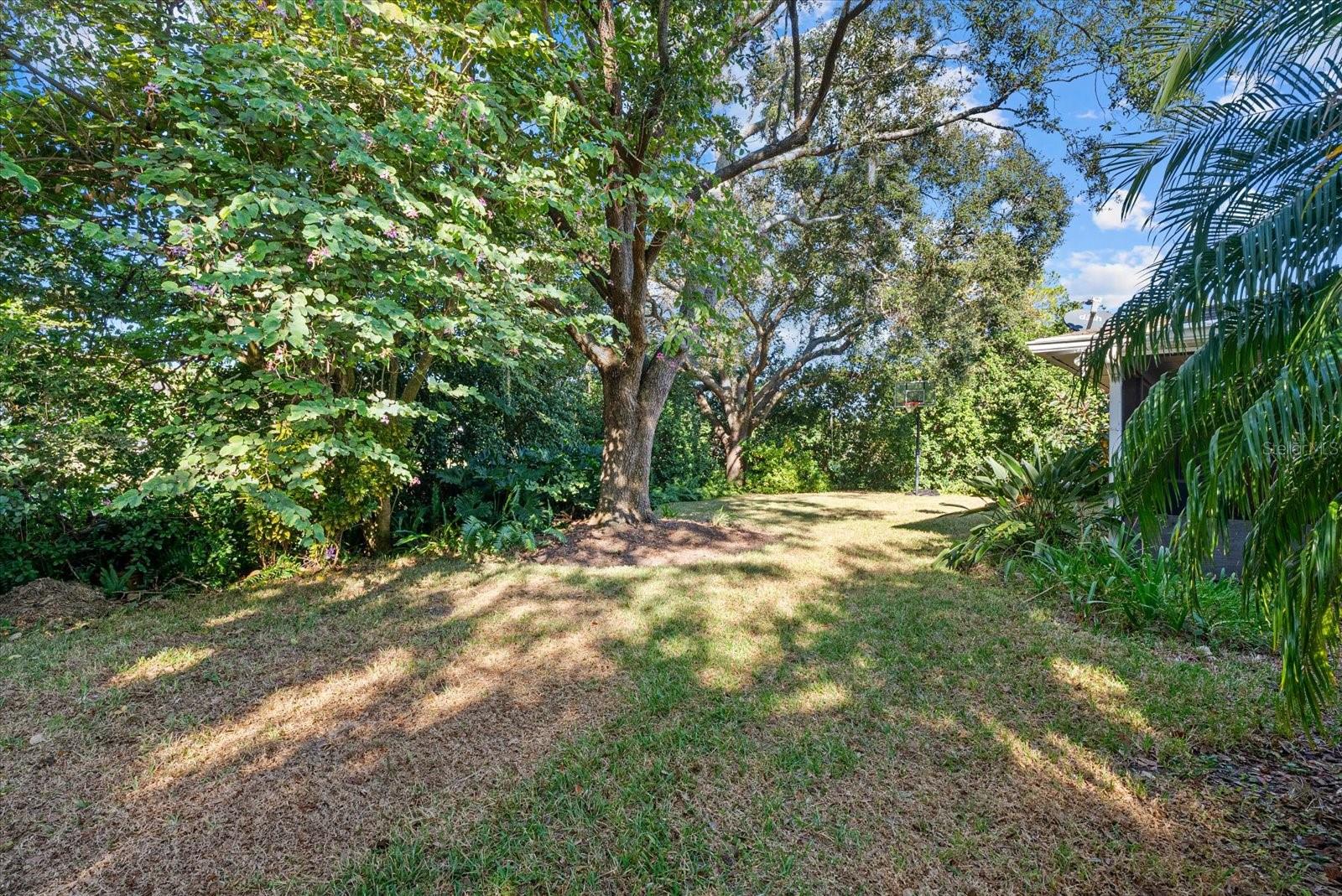 Image 36 of 46 For 16516 Oley Ridge Court