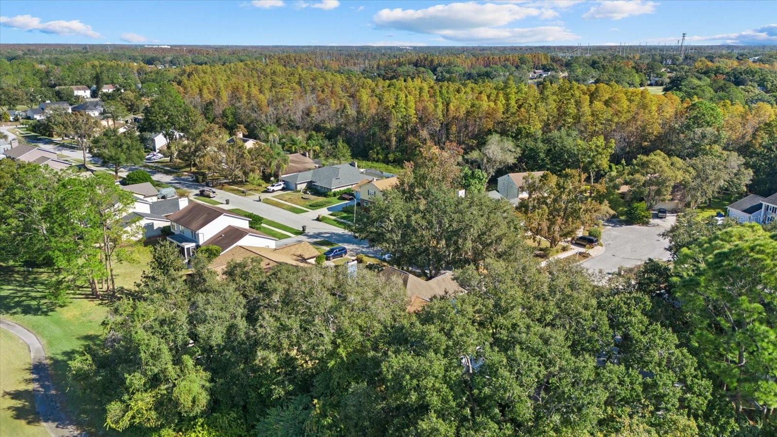 Image 40 of 46 For 16516 Oley Ridge Court