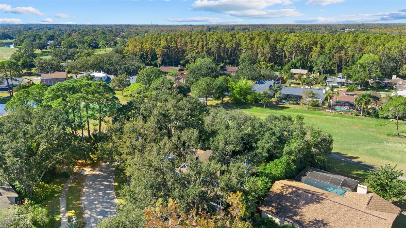 Image 42 of 46 For 16516 Oley Ridge Court