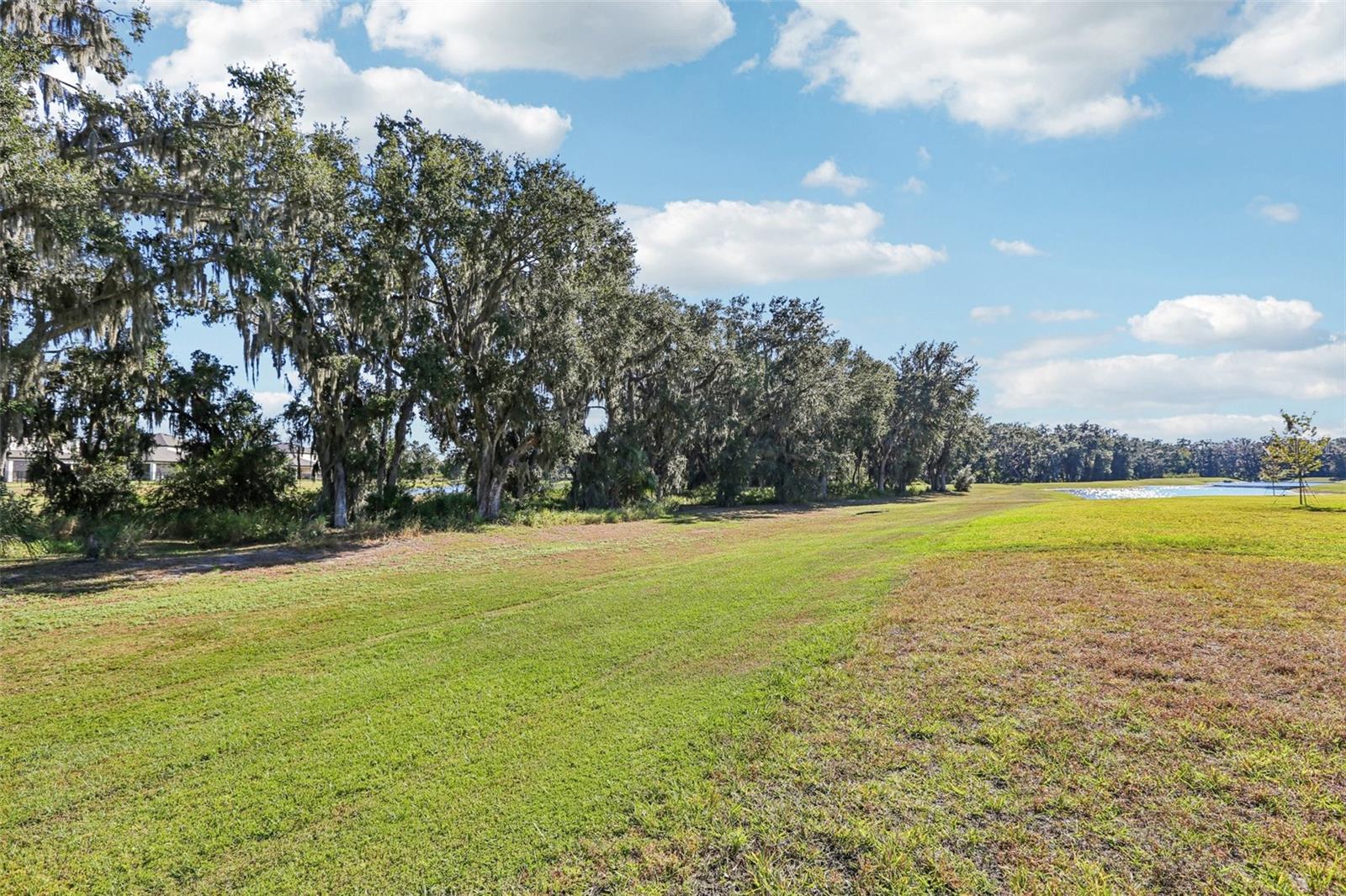 Listing photo id 45 for 14733 Gallop Run Drive