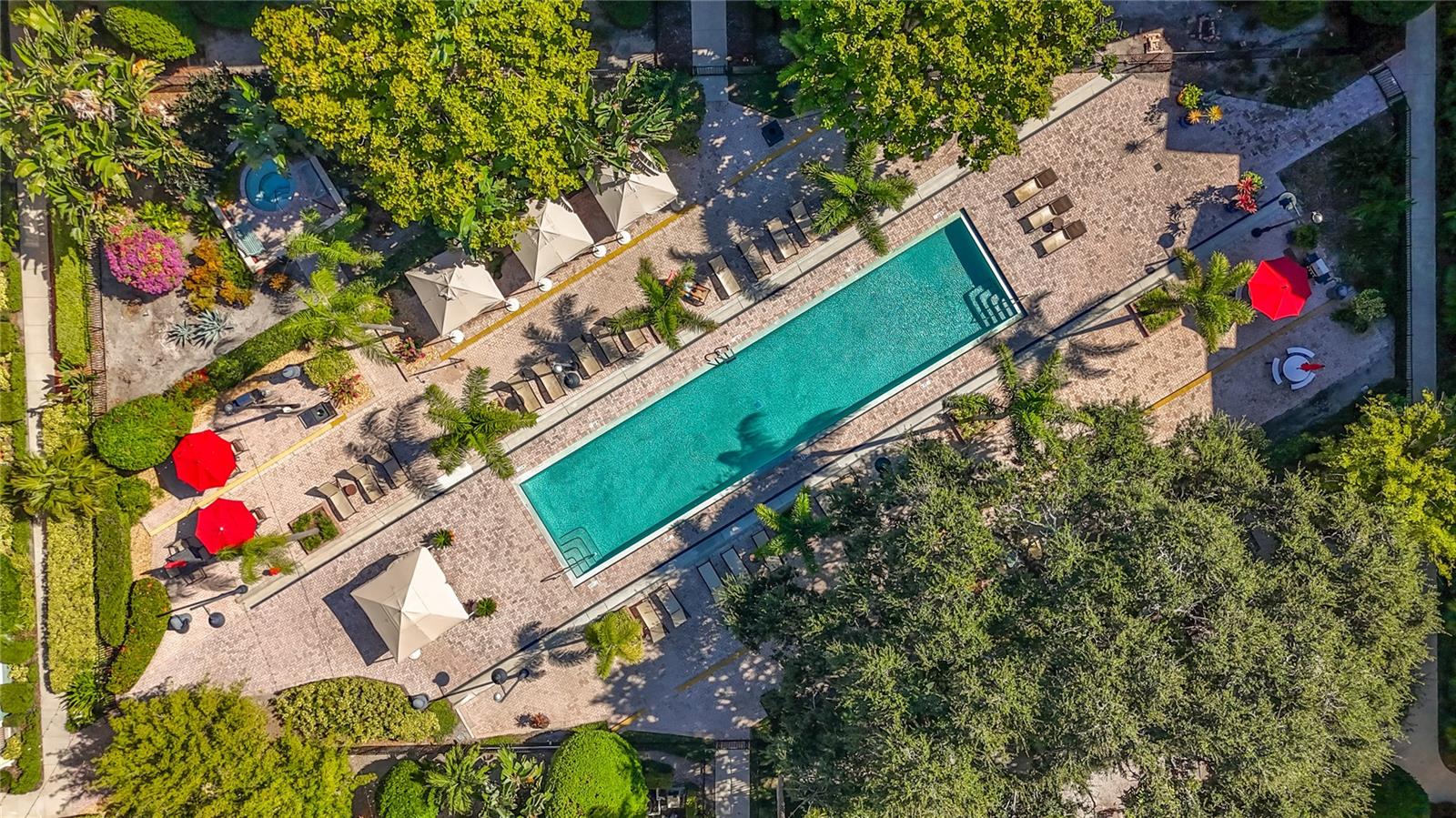 Image 30 of 31 For 402 Armenia Avenue 128