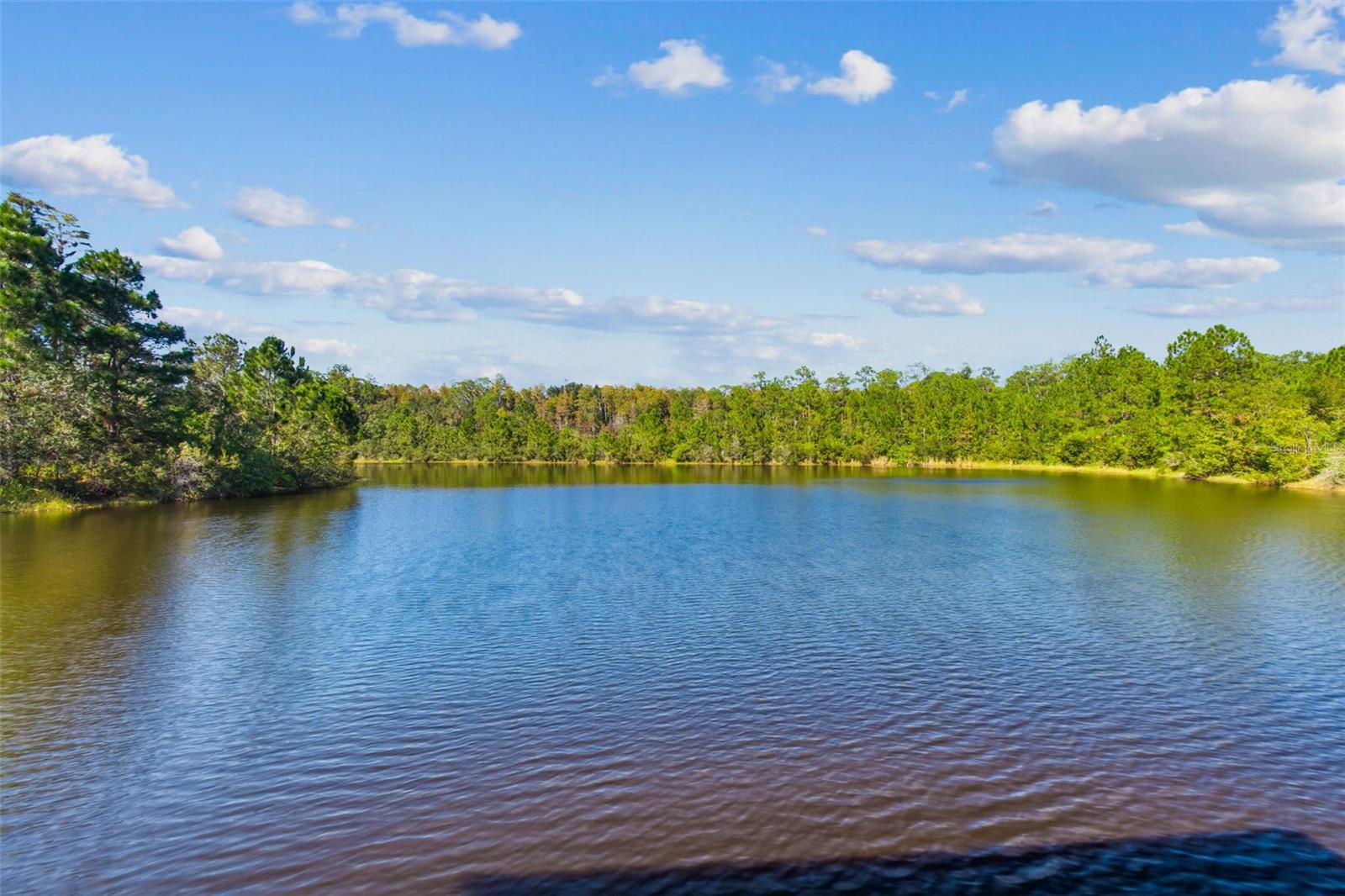 Image 88 of 94 For 8621 Eagle Brook Drive
