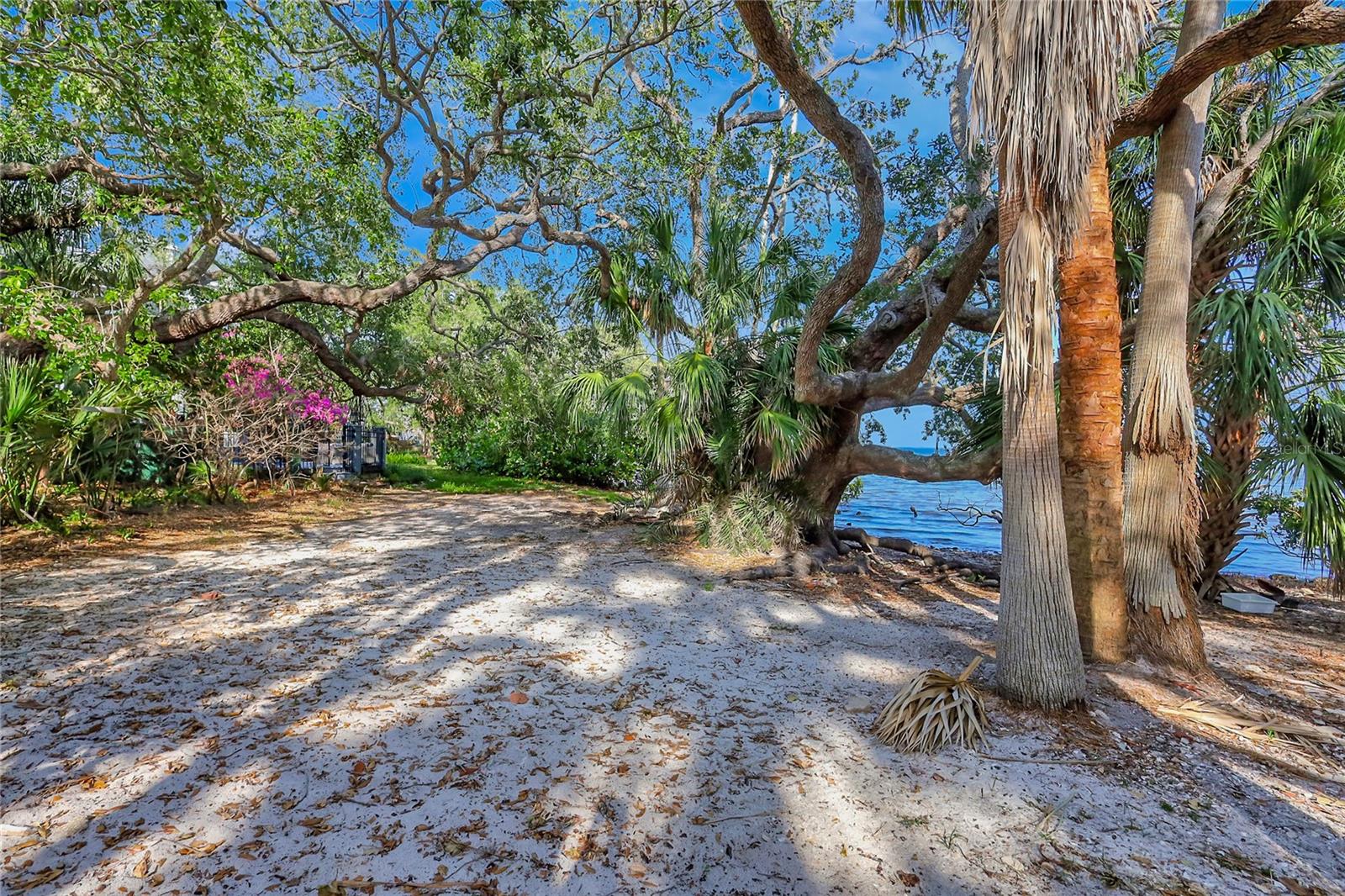 Listing photo id 0 for 6220 Bayshore Boulevard