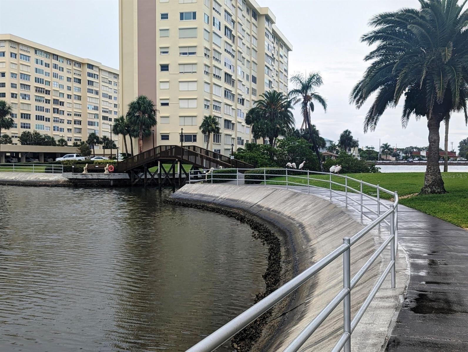 Image 76 of 77 For 4725 Cove Circle 810