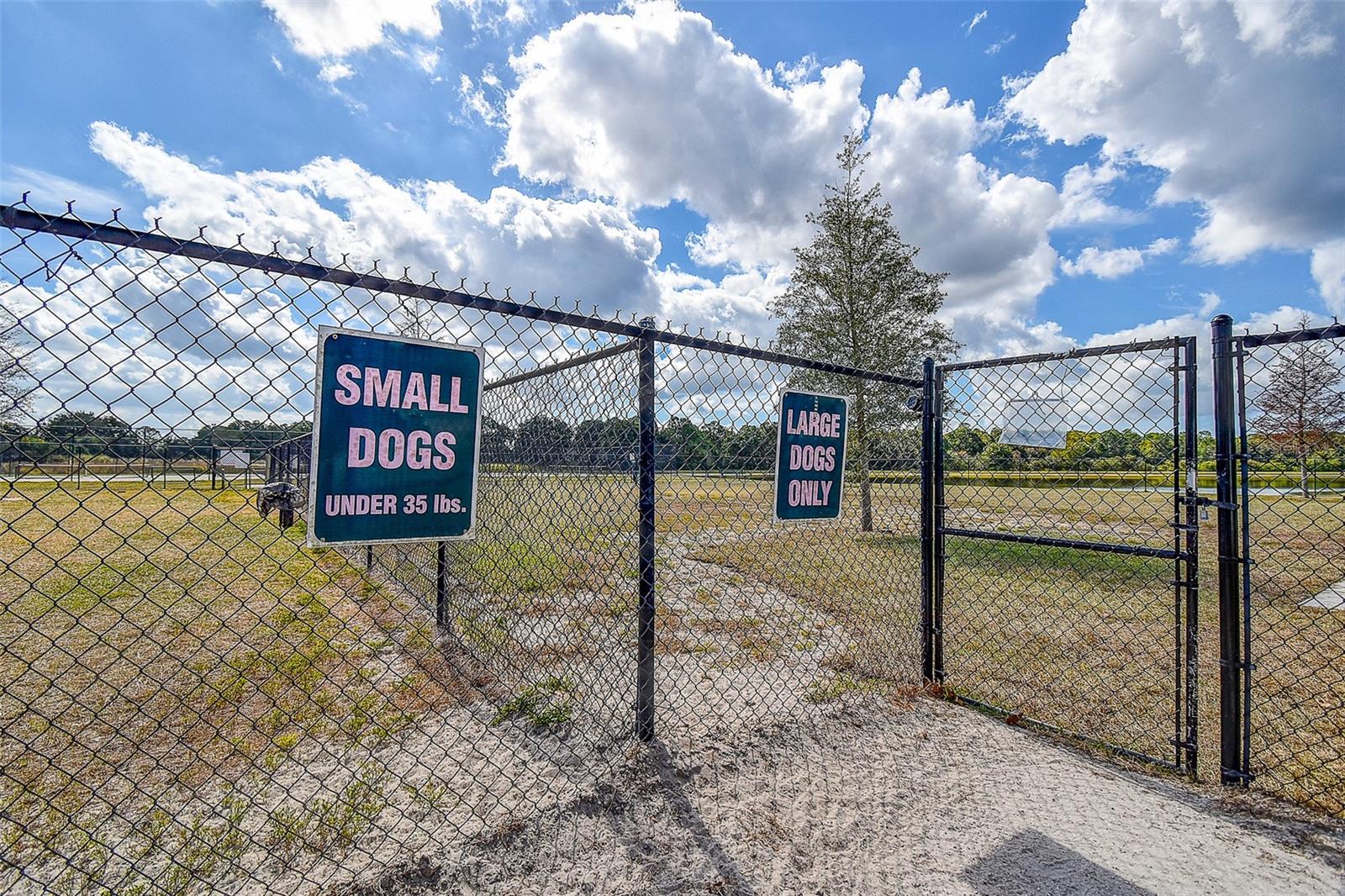 Image 55 of 55 For 11656 Lake Boulevard