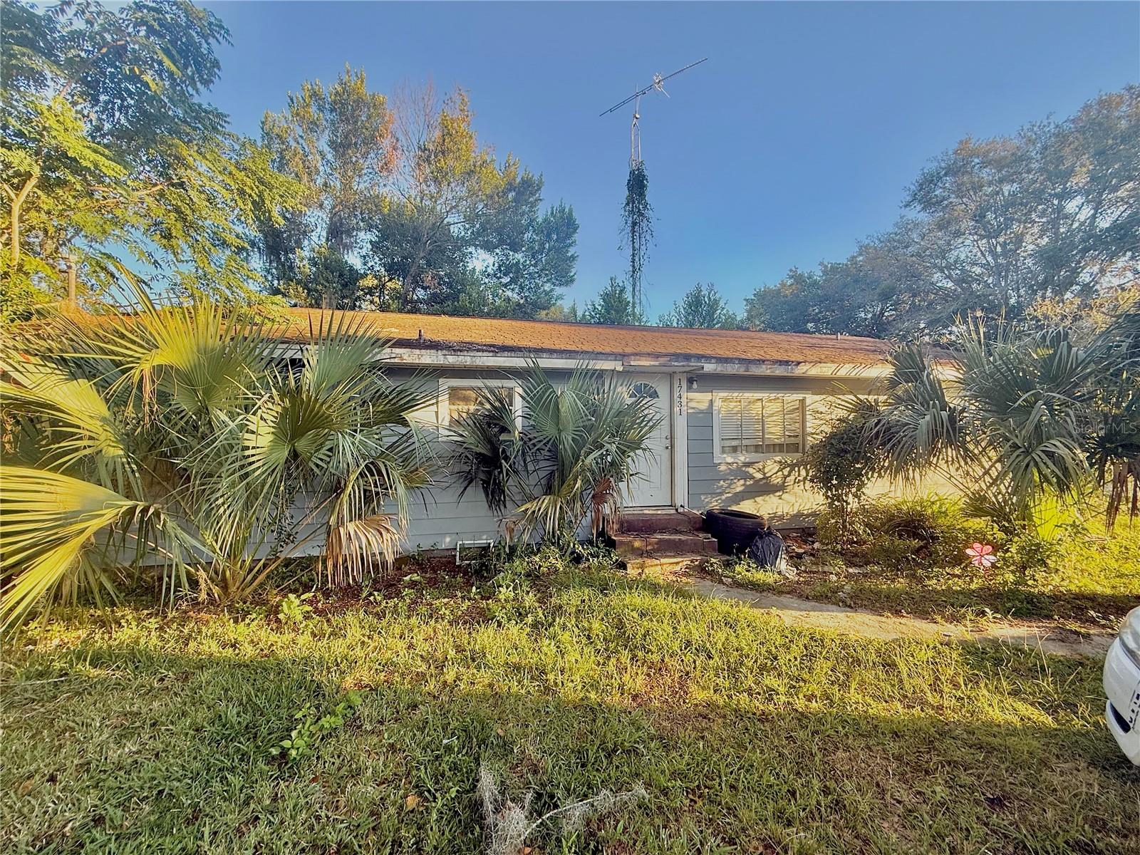 Details for 17431 35th Lane, OCKLAWAHA, FL 32179