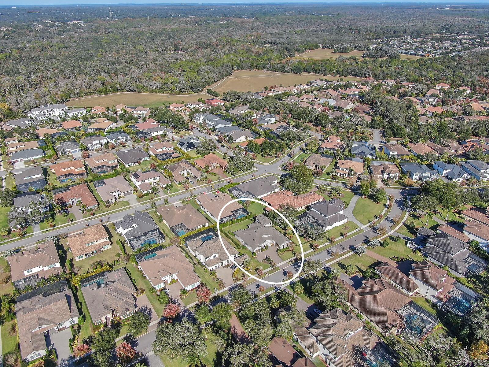 Listing photo id 9 for 14709 Fishhawk Preserve Drive