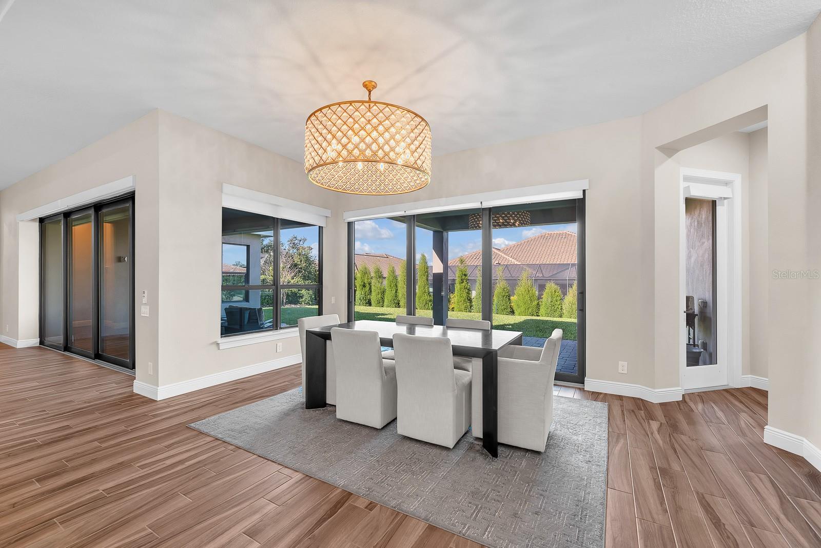 Listing photo id 19 for 14709 Fishhawk Preserve Drive