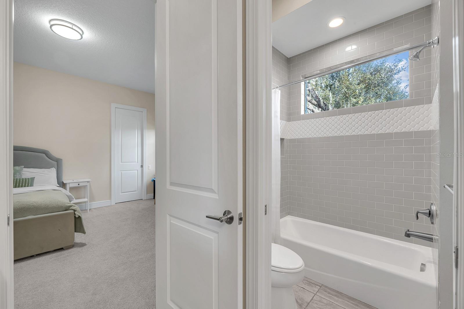 Listing photo id 27 for 14709 Fishhawk Preserve Drive