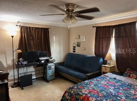 Image 9 of 18 For 4009 Bancroft Drive