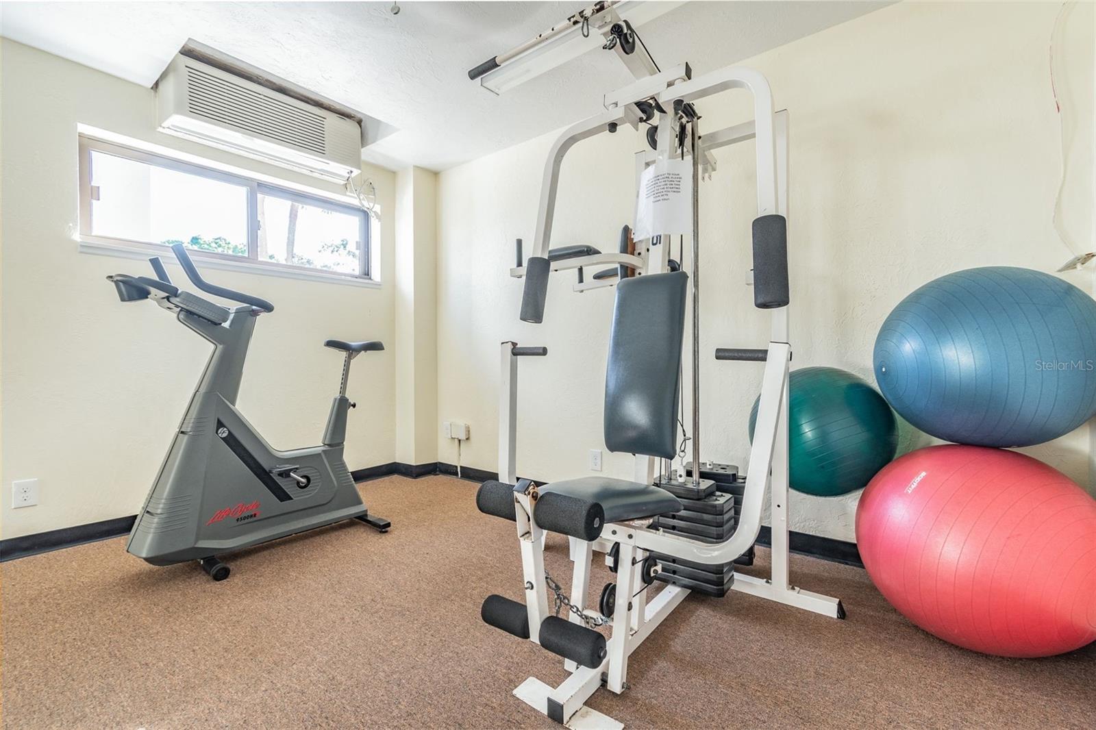 Image 35 of 38 For 4015 Bayshore Boulevard 14e