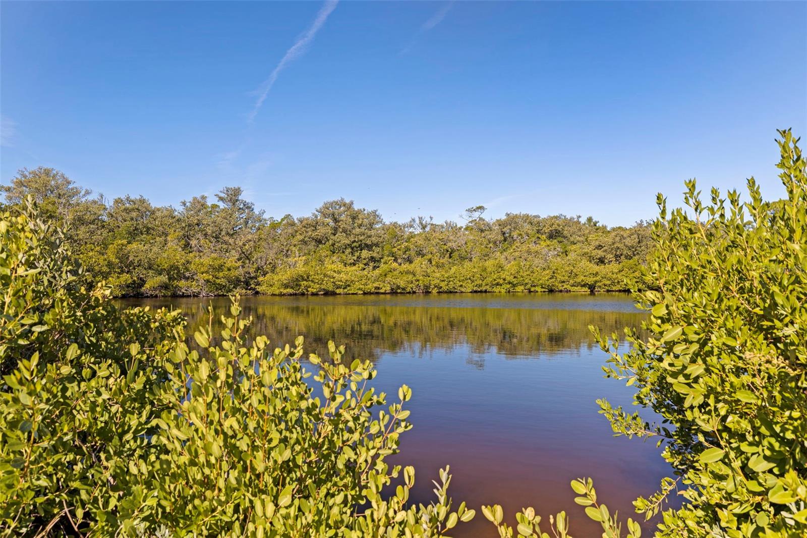 Image 72 of 80 For 2000 Bayview Drive