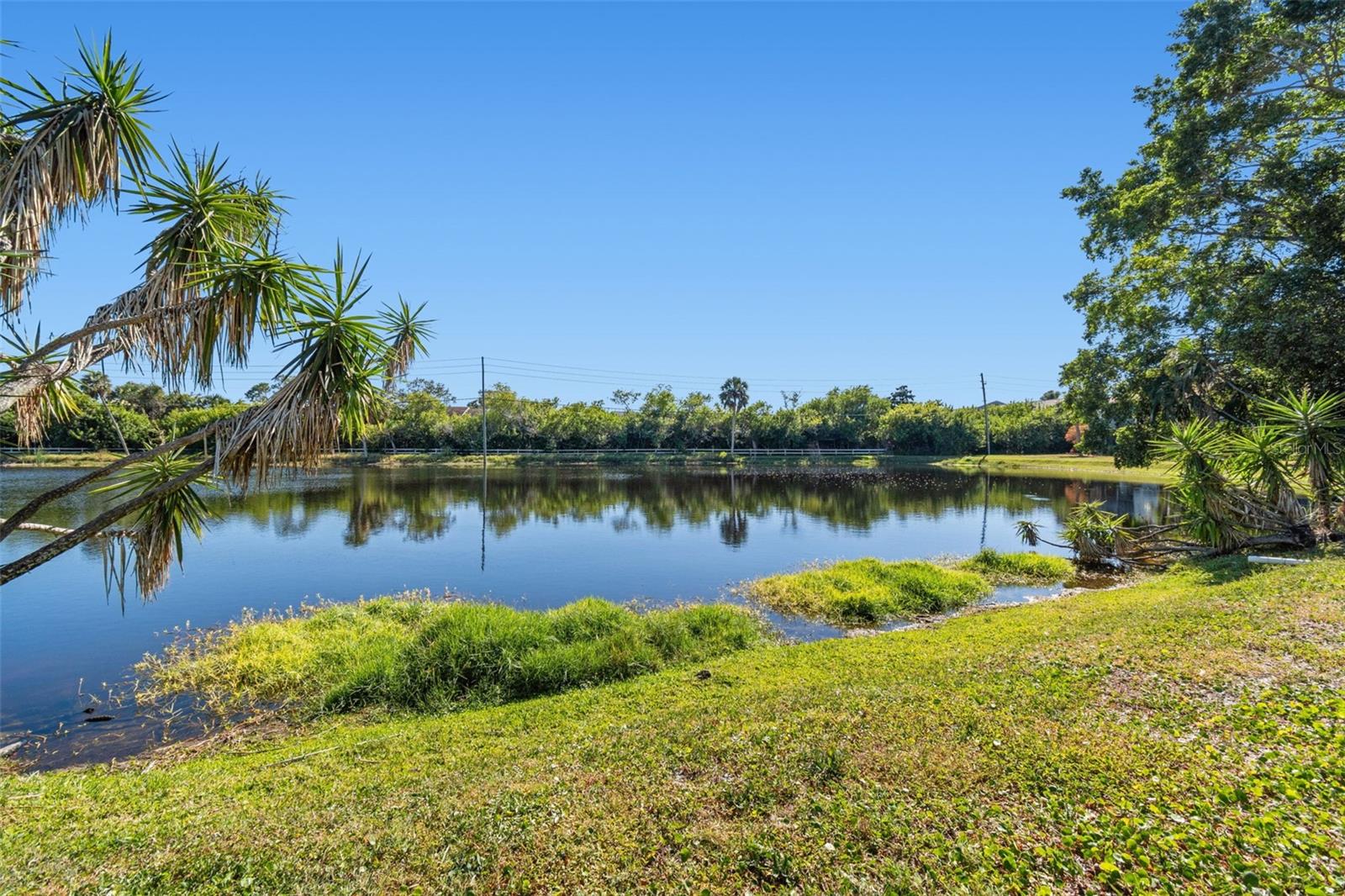 Image 42 of 48 For 746 115 Avenue N 1805