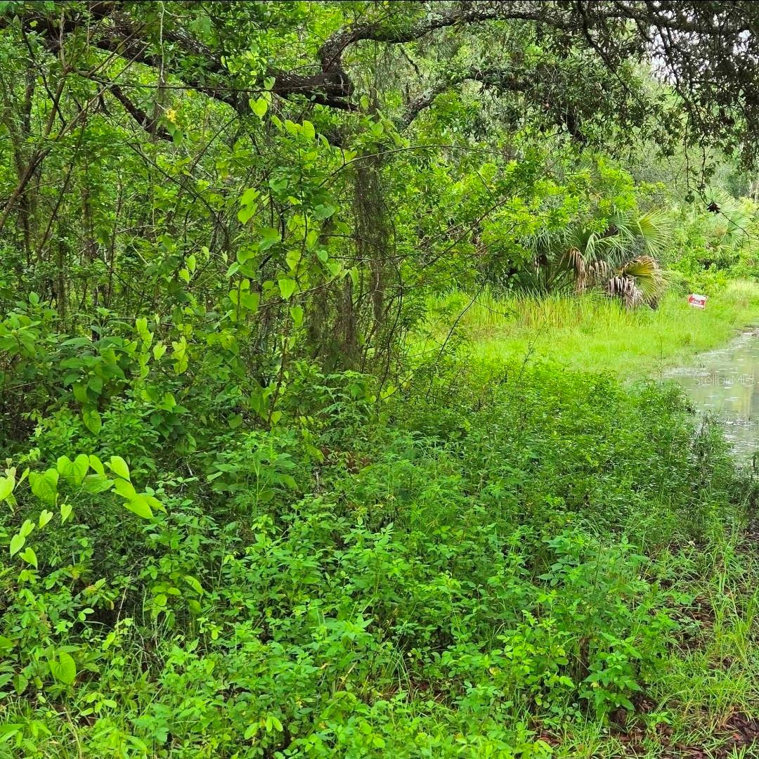 Image 2 of 3 For Ladd Avenue