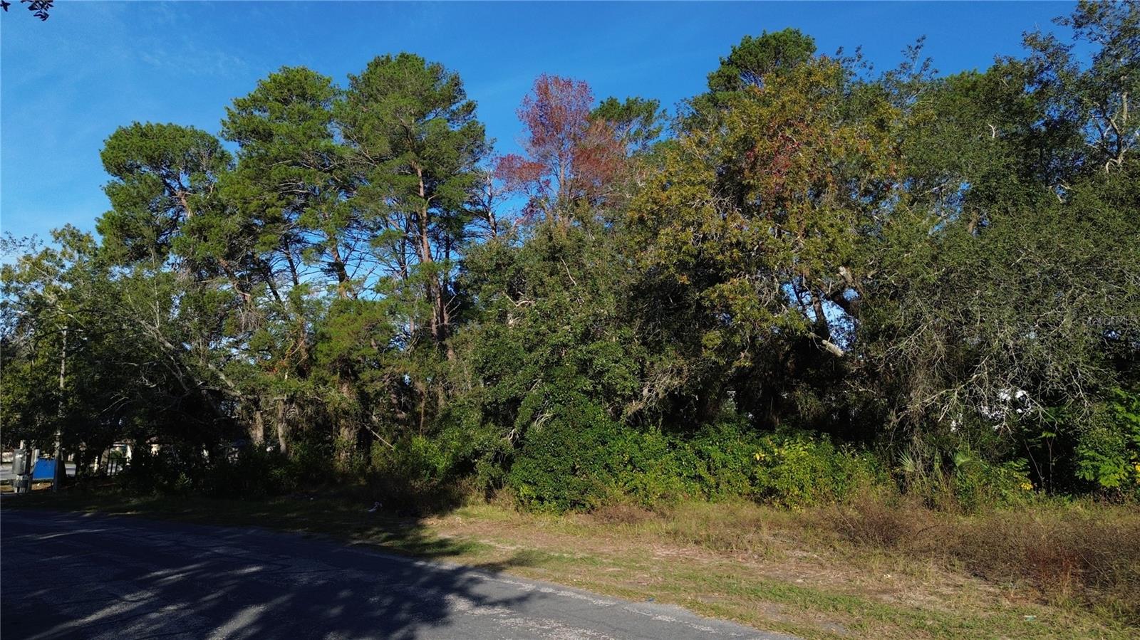 Listing photo id 1 for 7939 Rhanbuoy Road