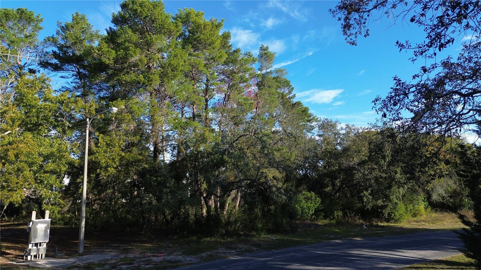 Listing photo id 3 for 7939 Rhanbuoy Road