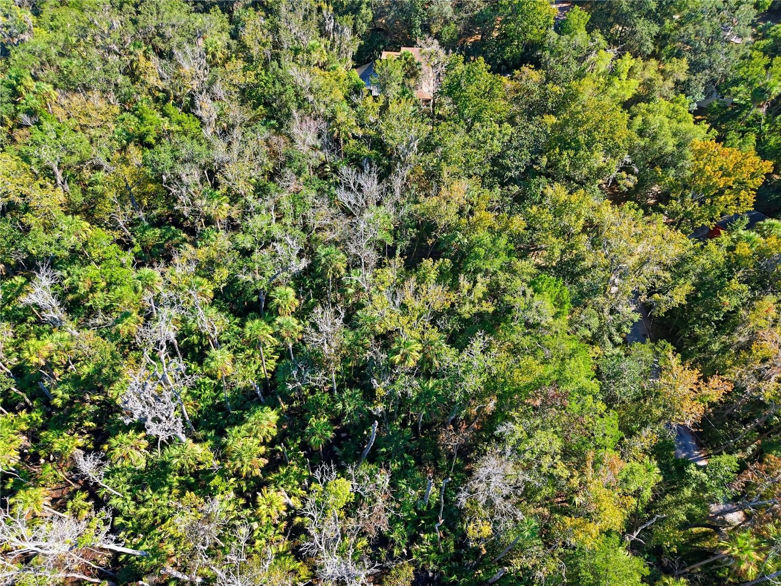 Image 4 of 6 For 4485 Lewoods Drive