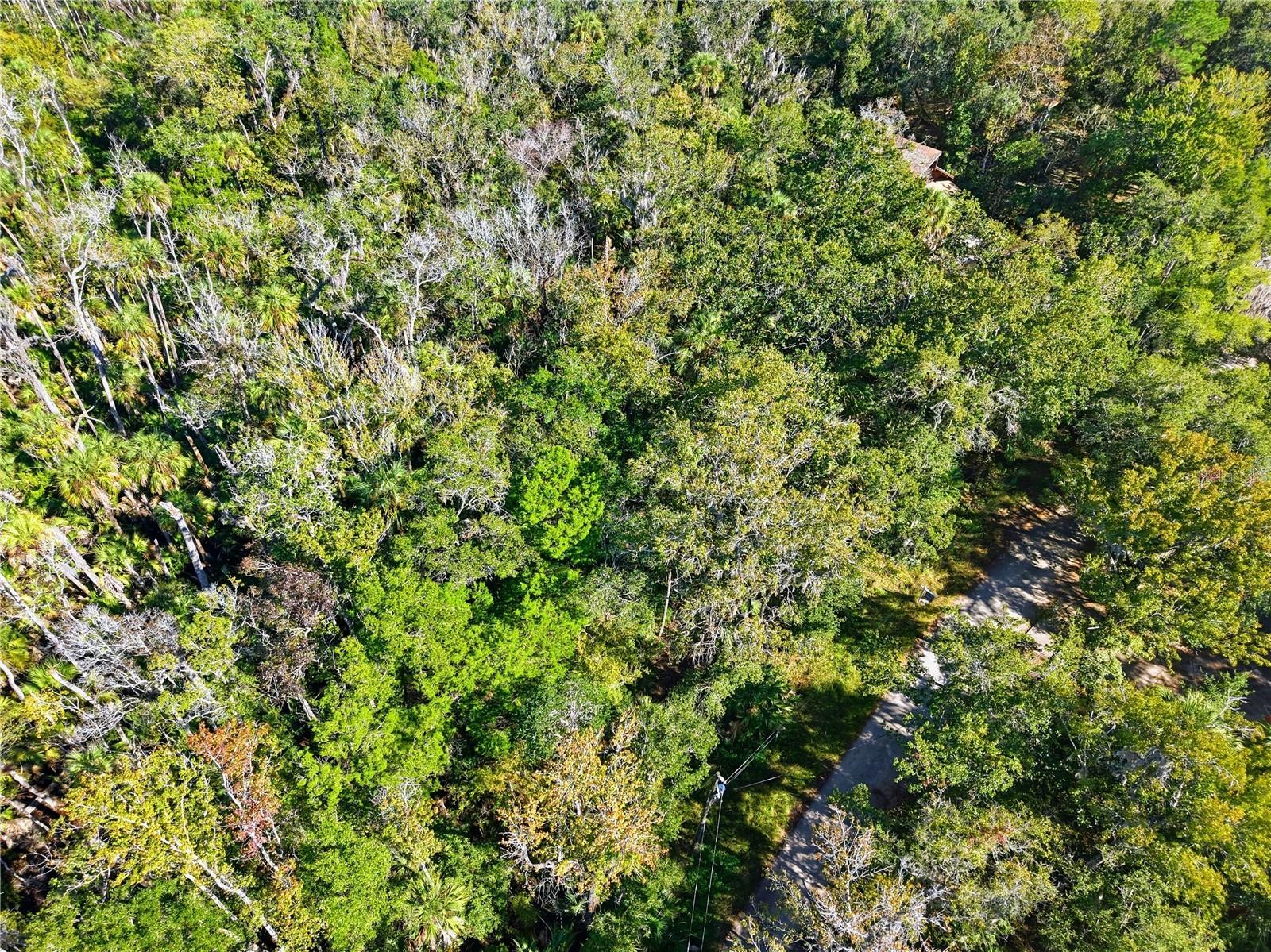 Image 5 of 6 For 4485 Lewoods Drive