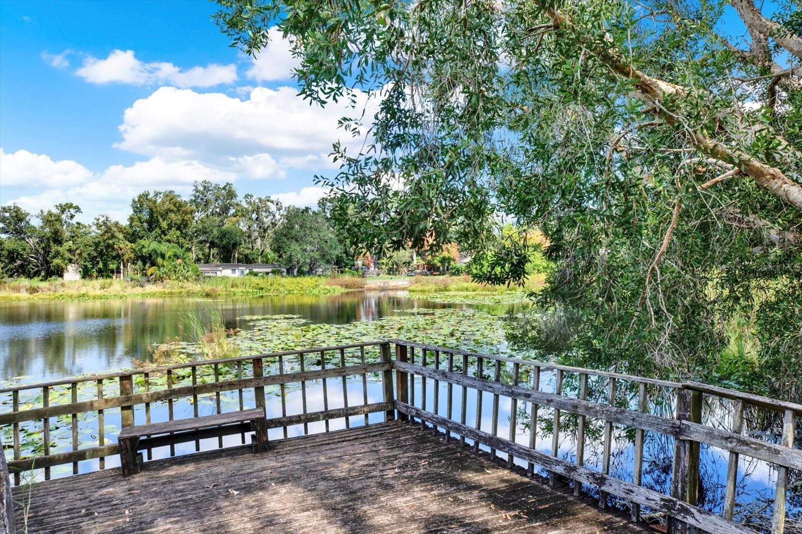 Image 37 of 41 For 910 Linwood Terrace